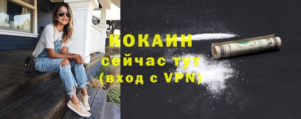 спиды Магас