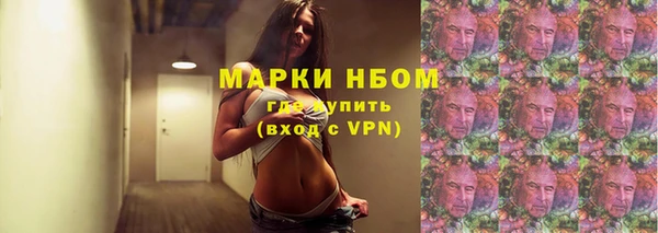 спиды Магас