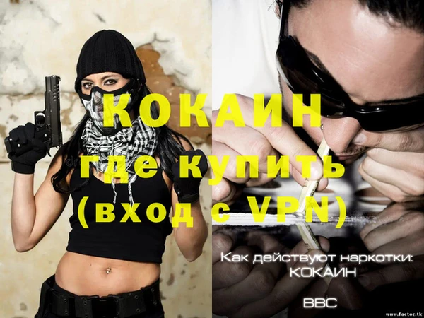спиды Магас
