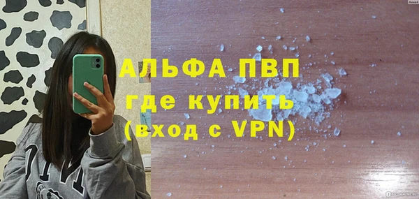 индика Артём