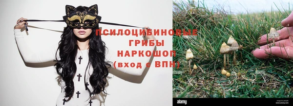 бутират Майский