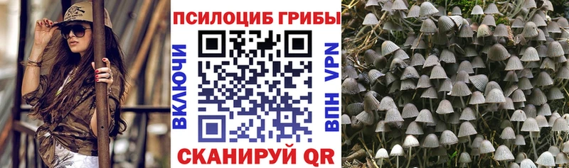 Псилоцибиновые грибы Psilocybine cubensis  Егорьевск 