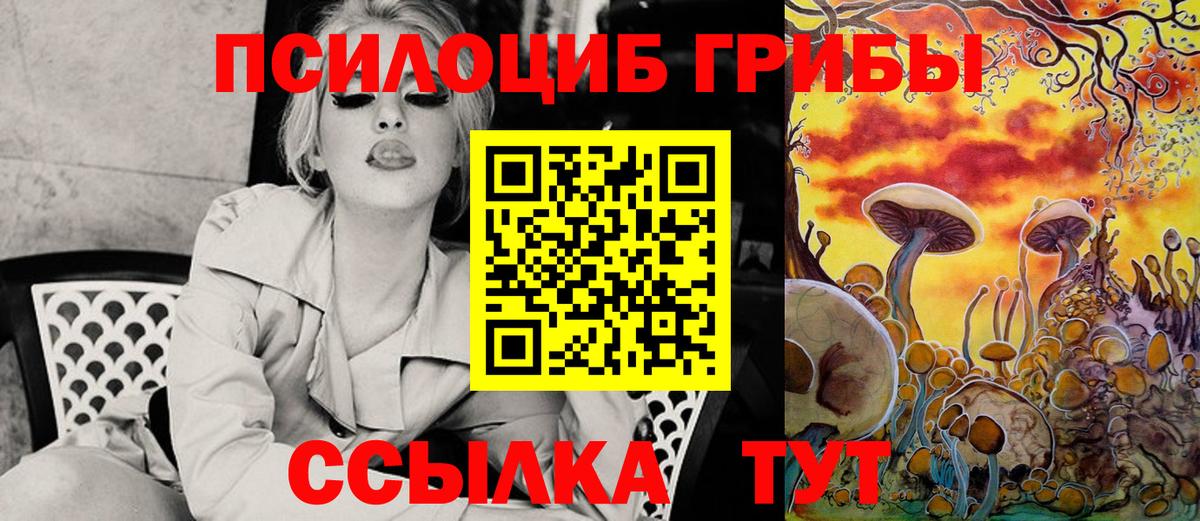 Псилоцибиновые грибы MAGIC MUSHROOMS Егорьевск