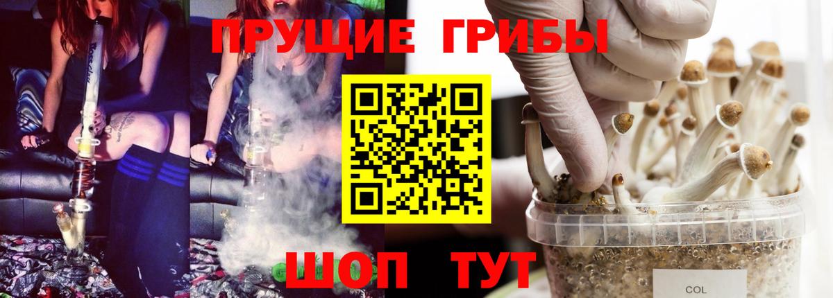 Галлюциногенные грибы прущие грибы  Егорьевск  Псилоцибиновые грибы MAGIC MUSHROOMS 