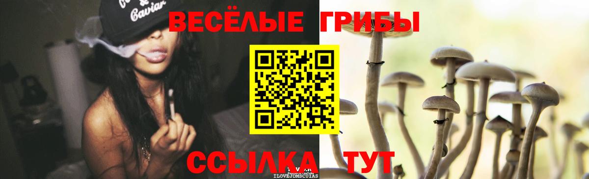 Егорьевск  Галлюциногенные грибы ЛСД  Вход с VPN 